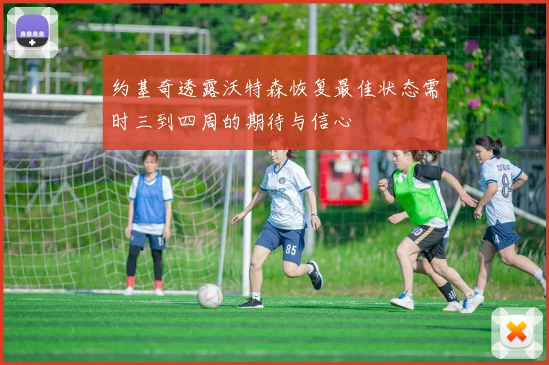 约基奇透露沃特森恢复最佳状态需时三到四周的期待与信心