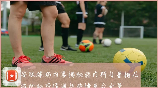 安联球场内幕揭秘赫内斯与鲁梅尼格的秘密通道与热情看台全景